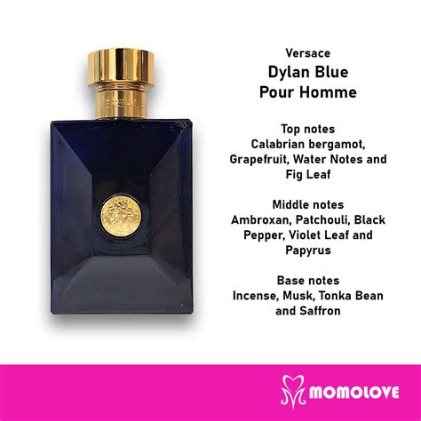 dylan blue versace notes|versace dylan blue aftershave.